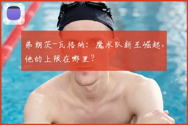 弗朗茨-瓦格纳：魔术队新王崛起，他的上限在哪里？