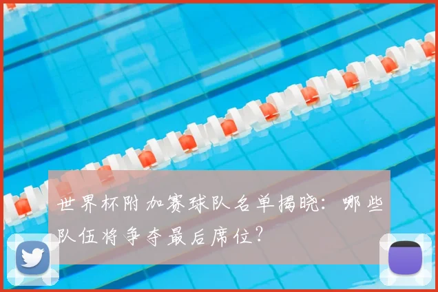 世界杯附加赛球队名单揭晓：哪些队伍将争夺最后席位？